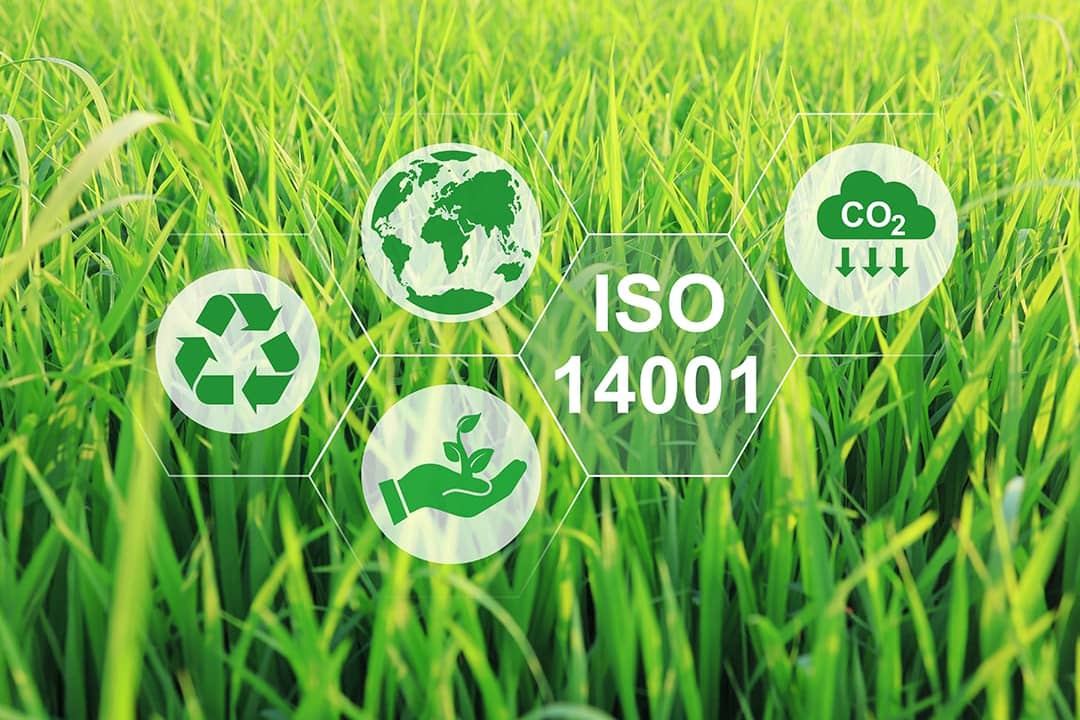 A conceptual graphic of ISO 14001 or an environmental management software.